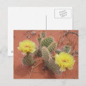 Yellow Prickley Pear Postkarte (Vorne/Hinten)