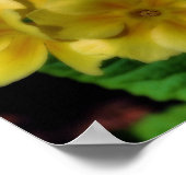 Yellow Primrose Blume Orton Art Poster (Ecke)