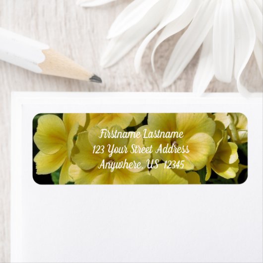 Yellow Primrose Spring Flowers Adresse (Insitu)