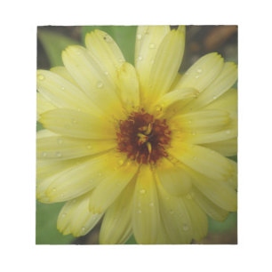 Yellow Raindrops Marigold Notepad Notizblock