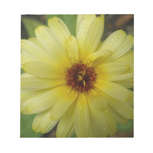 Yellow Raindrops Marigold Notepad Notizblock (Vorderseite)