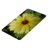 Yellow Raindrops Marigold Premium Magnet (Linke Seite)