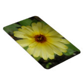 Yellow Raindrops Marigold Premium Magnet (Rechte Seite)