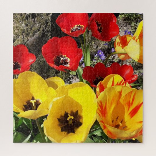 Yellow & Red Tulips Jigsaw Puzzle (Vertikal)