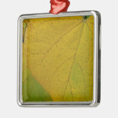 Yellow Redbud Verlasse Autumn Nature Fotografy Ornament Aus Metall (Links)