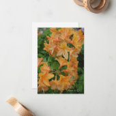 Yellow Rhododendron Mitteilungskarte (Vorderseite/Rückseite Beispiel)