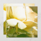 Yellow Rose Birthday Einladung (Vorne/Hinten)