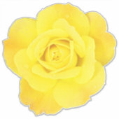 Yellow Rose Custom Friendship Friends Liebe Weddin Aufkleber (Vorderseite)
