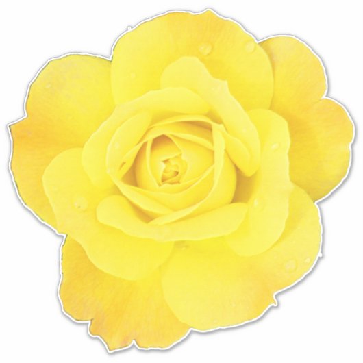 Yellow Rose Custom Friendship Friends Liebe Weddin Aufkleber (Vorderseite)