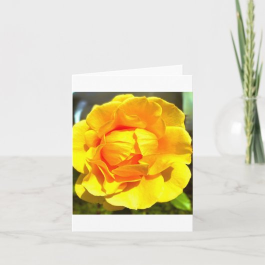 Yellow Rose Greeting Card Einladung (Vorderseite)