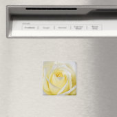 Yellow Rose Magnet (In Situ (Geschirrspüler))