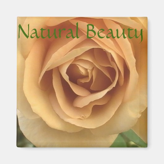 Yellow Rose Magnet (Vorne)