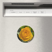 Yellow Rose Magnet (In Situ (Geschirrspüler))