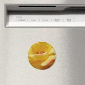 Yellow Rose Magnet (In Situ (Geschirrspüler))