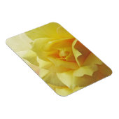 Yellow Rose Magnet (Rechte Seite)