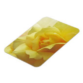 Yellow Rose Magnet (Linke Seite)