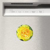 Yellow Rose Magnet (In Situ (Geschirrspüler))