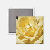 Yellow Rose Magnet (Vorderseite/Rückseite)