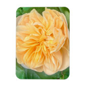 Yellow Rose Magnet (Vertikal)