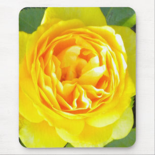 Yellow Rose Mouse pad Mousepad