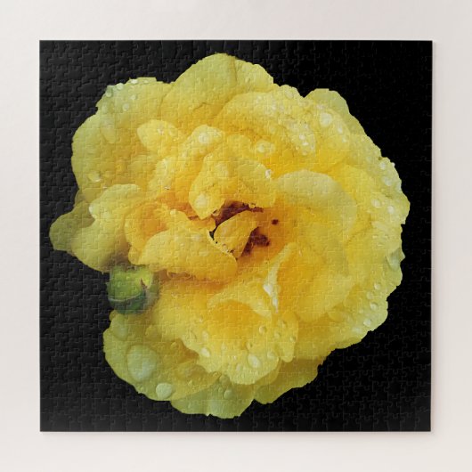 YELLOW ROSE PUZZLE (Horizontal)