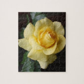 Yellow Rose Puzzle (Vertikal)