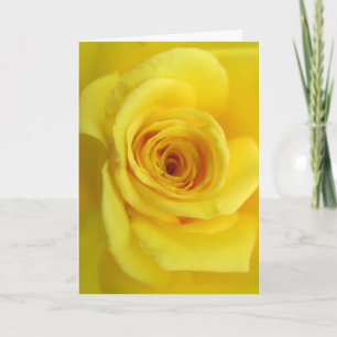 Yellow Rose Sympathy Card Karte