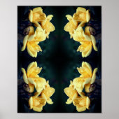 Yellow Rose Trio Abstrakt Poster (Vorne)