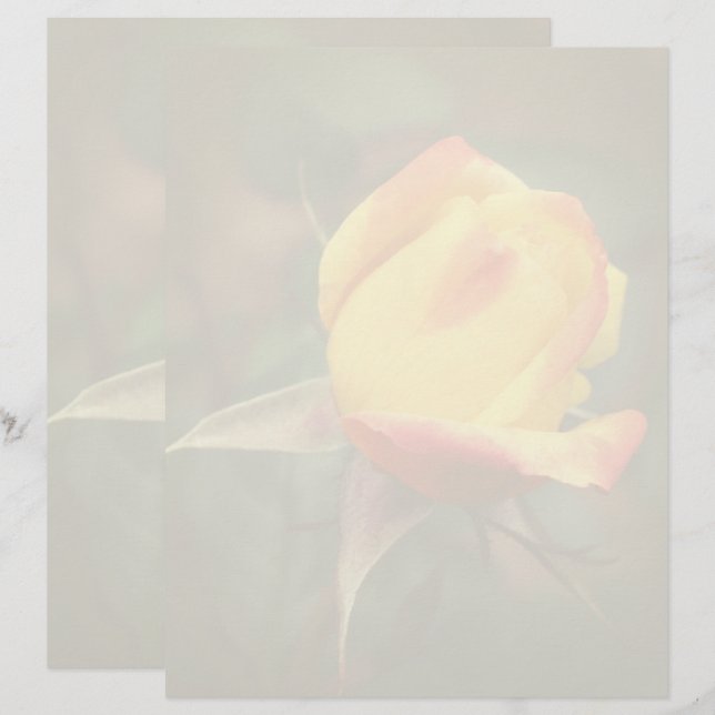 Yellow Rosebud Flower  Briefbogen (Vorne/Hinten)