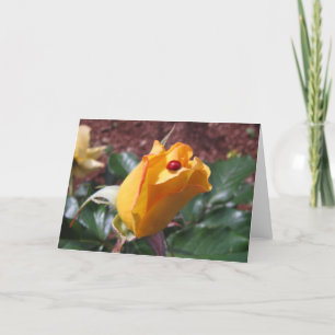 Yellow rosebud with ladybug karte