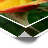 Yellow Rosenknospe Life Attitude Zitat Inspiration Poster (Ecke)