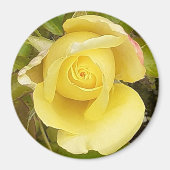 Yellow Rosenknospe Magnet (Vorne)