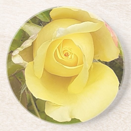 Yellow Rosenknospe Sandstone Untersetzer (Vorne)