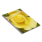 Yellow Rosenknospe Spiral Notebook Notizblock (Rechte Seite)