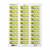 Yellow Roses Custom Address Labels (Vorne)