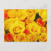 Yellow Roses Paris Postkarte (Vorderseite)