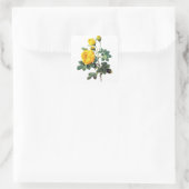 Yellow Roses von Pierre Joseph Redoute Quadratischer Aufkleber (Tasche)