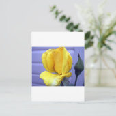 Yellow Rsoebud Postkarte (Stehend Vorderseite)
