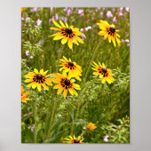 Yellow Rudbeckias Poster (Vorne)
