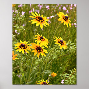 Yellow Rudbeckias Poster