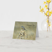 Yellow-Rumped Warbler - Denken Sie an Sie