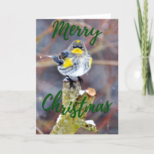 Yellow Rumped Warbler Foto Weihnachtskarte Dankeskarte