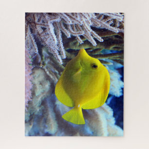 Yellow Saltwater Tang Fish Puzzle