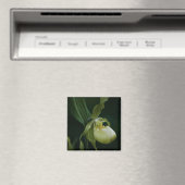 Yellow Slipper Magnet (In Situ (Geschirrspüler))