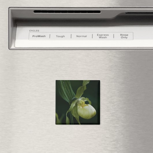 Yellow Slipper Magnet (In Situ (Geschirrspüler))