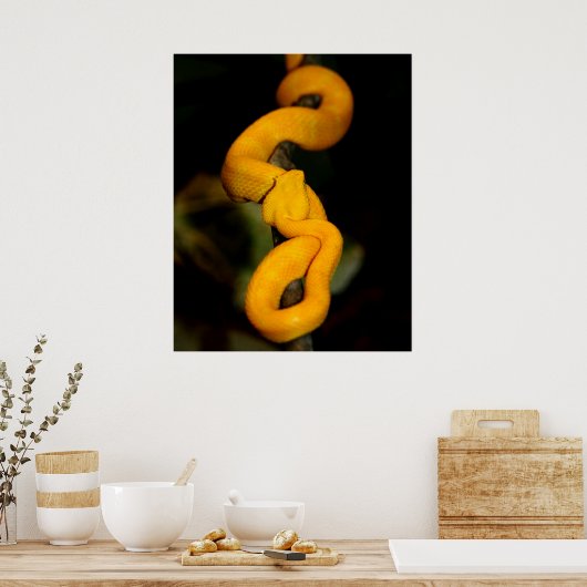 Yellow Snake Poster (Küche)