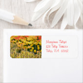 Yellow Snapdraggs geben Adressenaufkleber zurück (Insitu)