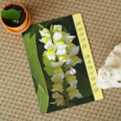 Yellow Snapdragons Floral Birthday Karte