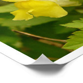 Yellow Snapdragons Poster (Ecke)