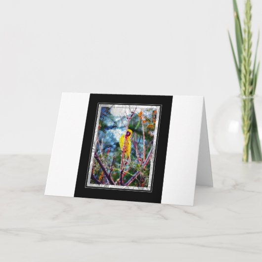 Yellow Song Karte (Vorderseite)